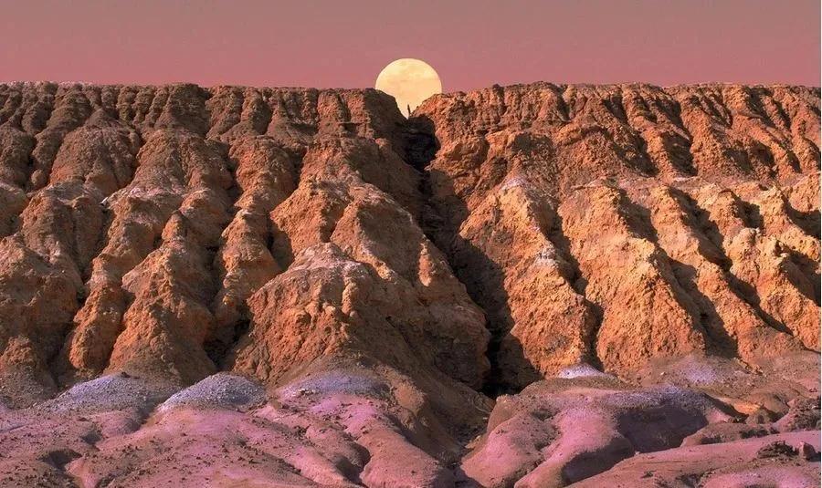 2021春夏女装色彩流行分析-中性色(图5)